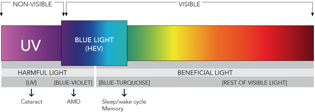 Light Damage/Benefit Spectrum